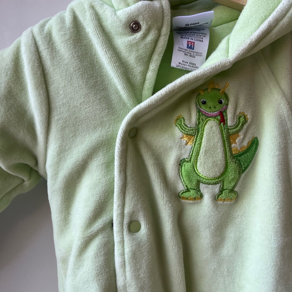 Vintage 2005 Baby Einstein Lime Green Hoodie